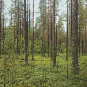 Боксов чувал 150cm